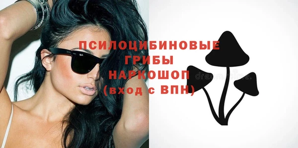 винт Костерёво