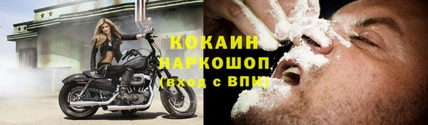 СК Касимов