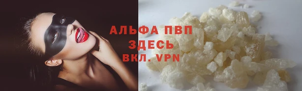 СК Касимов