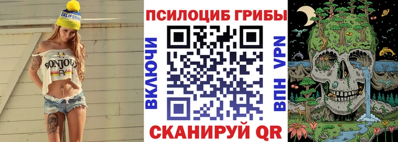 Псилоцибиновые грибы Psilocybine cubensis  ссылка на мегу вход  Короча 